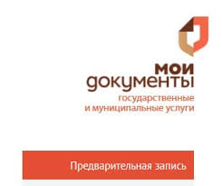 В МФЦ - только по записи