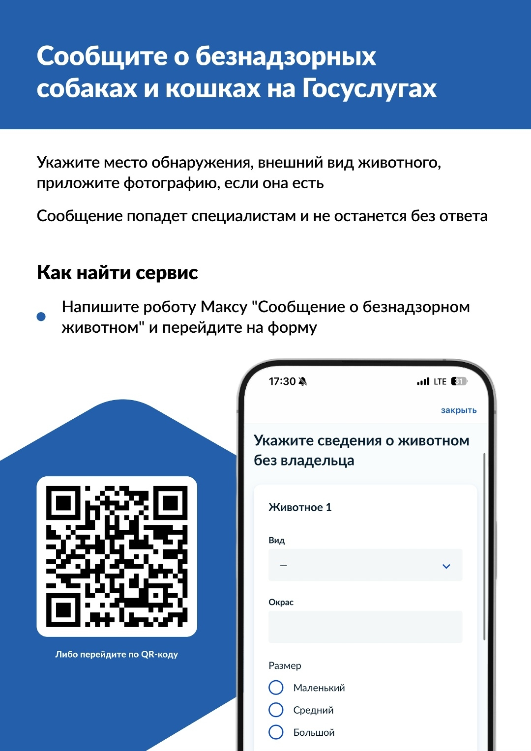 Передавайте информацию о безнадзорных животных через госуслуги