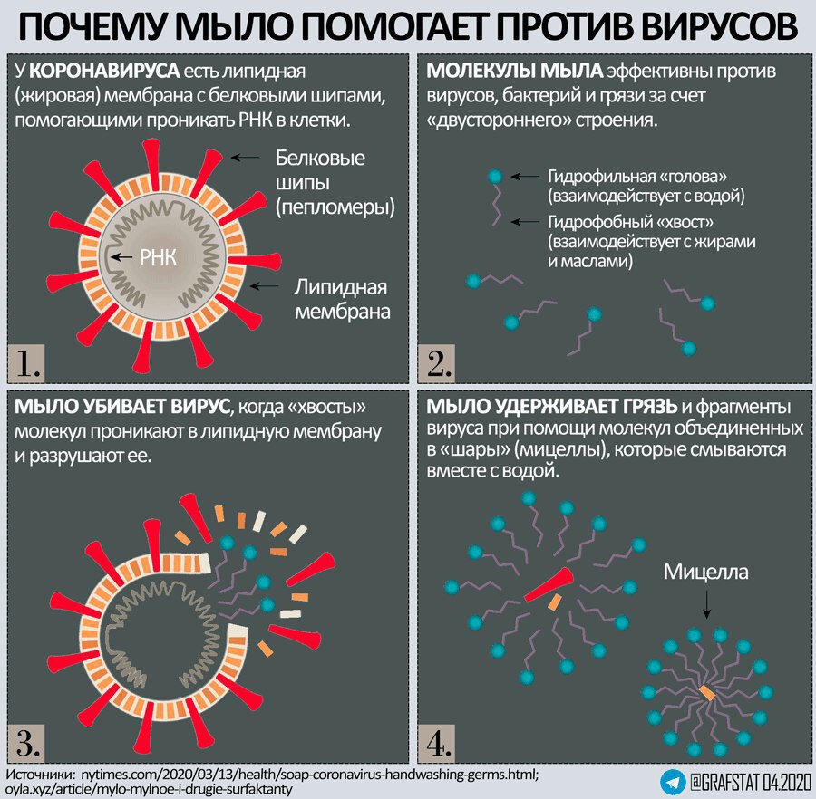 Коронавирус. Информация по состоянию на 12 апреля