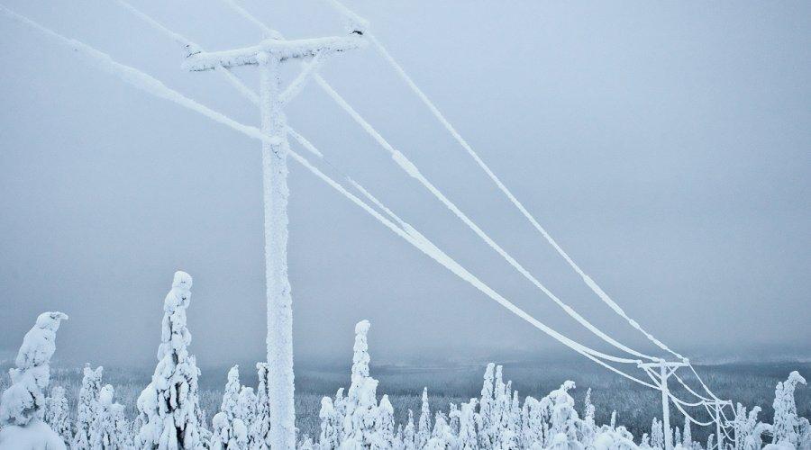 Внимание! Экстренное предупреждение