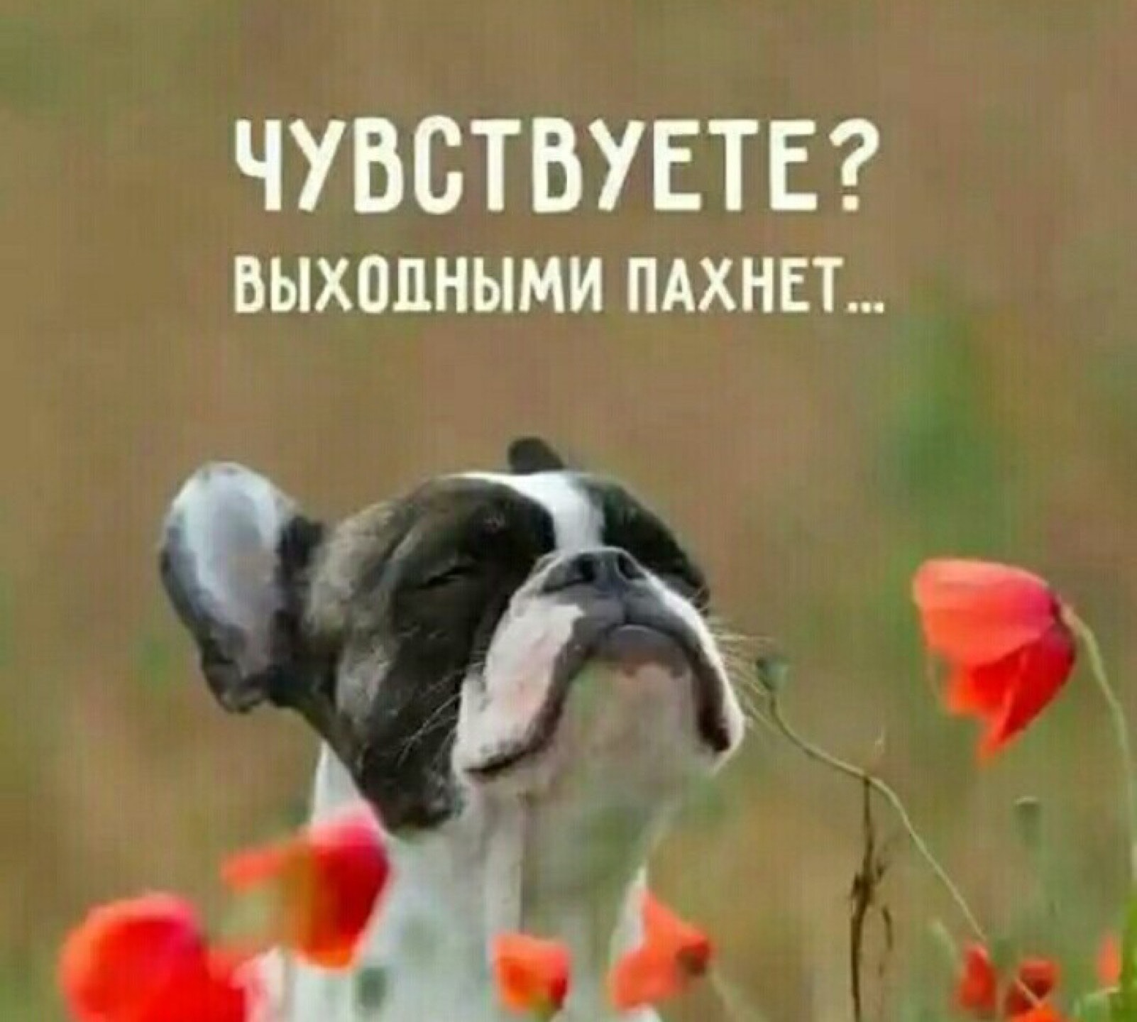 В Роструде рассказали, как россияне будет отдыхать в июне
