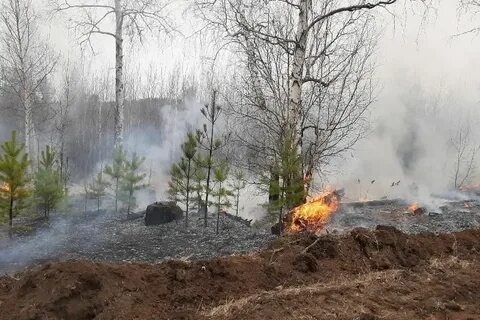 Внимание! Высокая пожарная опасность